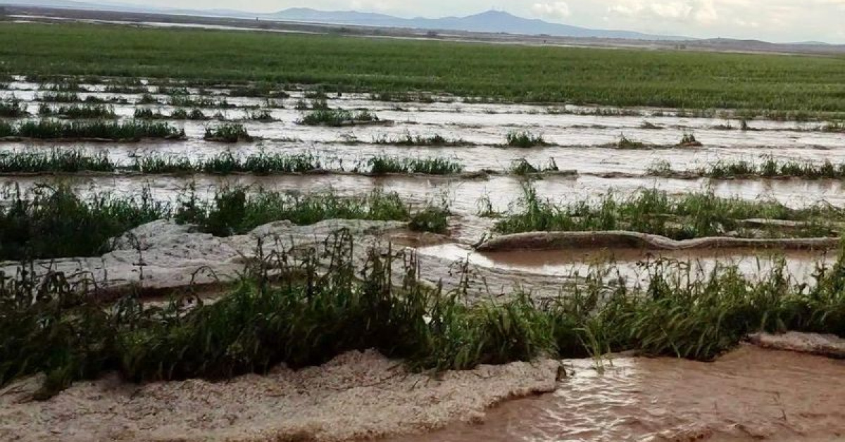 Kırşehir'de Sel Hasarı, Tarım Arazilerinde Zarar