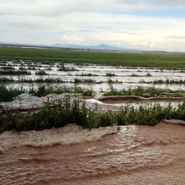 Kırşehir'de 6 köyde tarım arazilerinde zarar