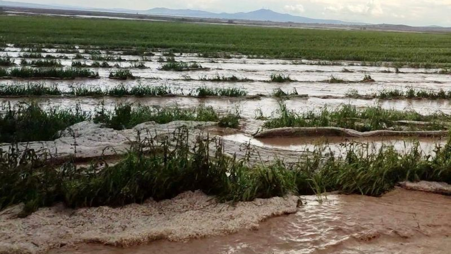 Kırşehir'de 6 köyde sel tarım arazilerini vurdu