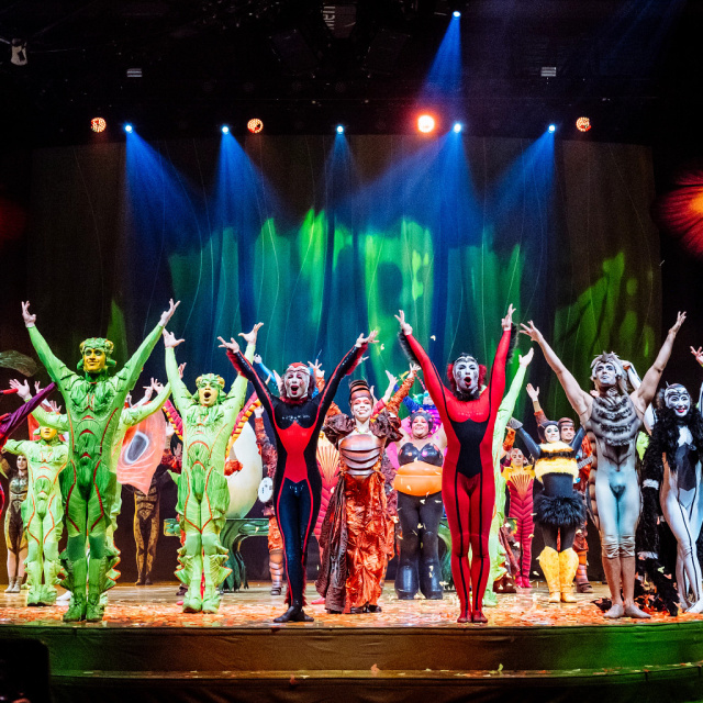 Cirque du Soleil, 8 gösteriyle İstanbul'dan geçti