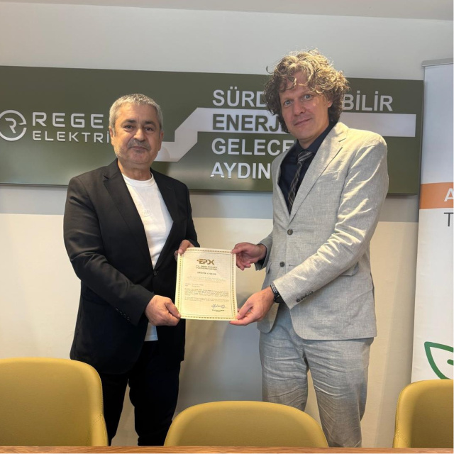 Reges Elektrik'ten 'rüzgârda' satın alma