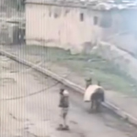 Firari hükümlü eşekle dolaşırken yakalandı!