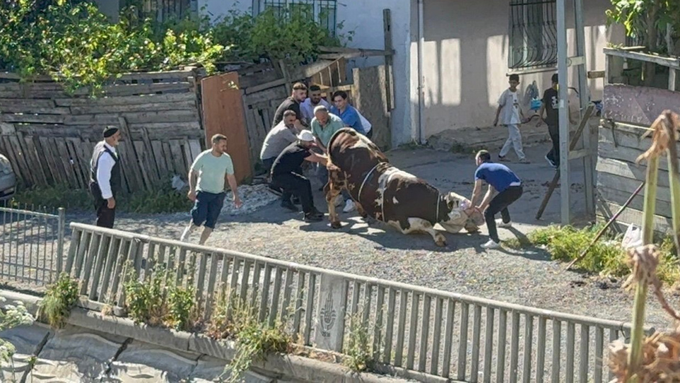 Kaçak kesimlere ceza yağdı!