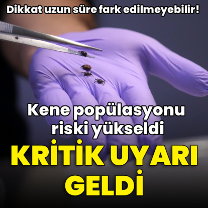 Yağışlarla bitki örtüsü arttı, kene popülasyonu riski yükseldi