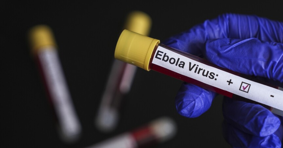 Belçika Ebola Önlemleri Artıyor