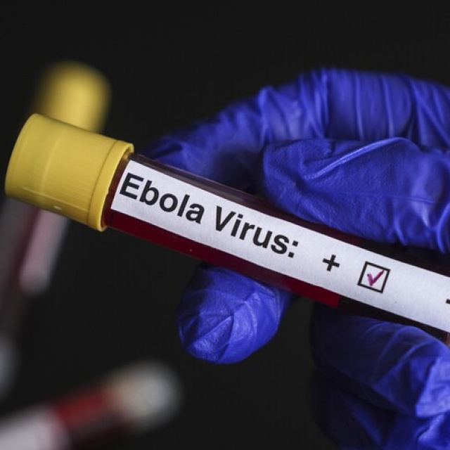 Avrupa'nın göbeğinde 'Ebola' alarmı