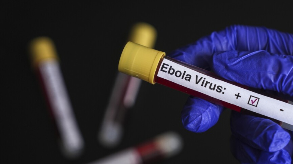 Avrupa'nın göbeğinde 'Ebola' alarmı