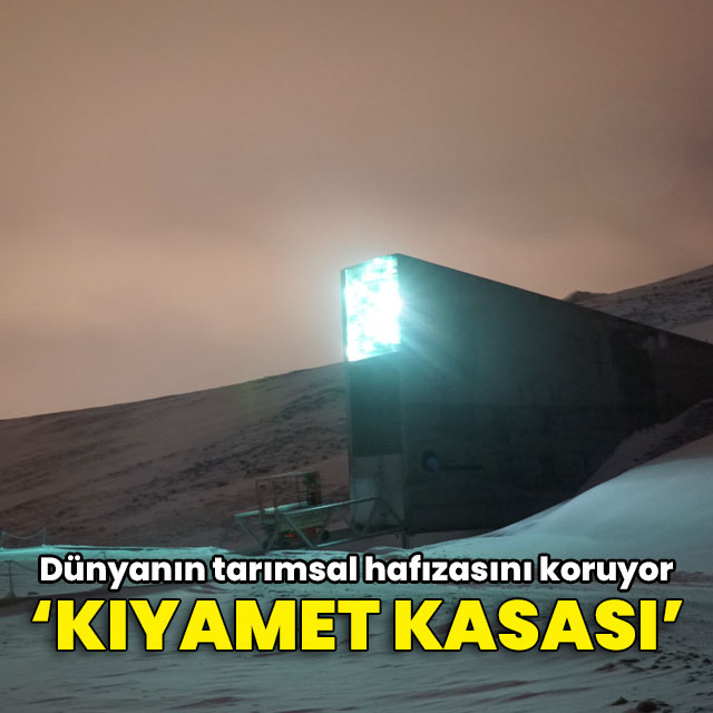 "Kıyamet kasası" olarak anılan Svalbard Tohum Deposu