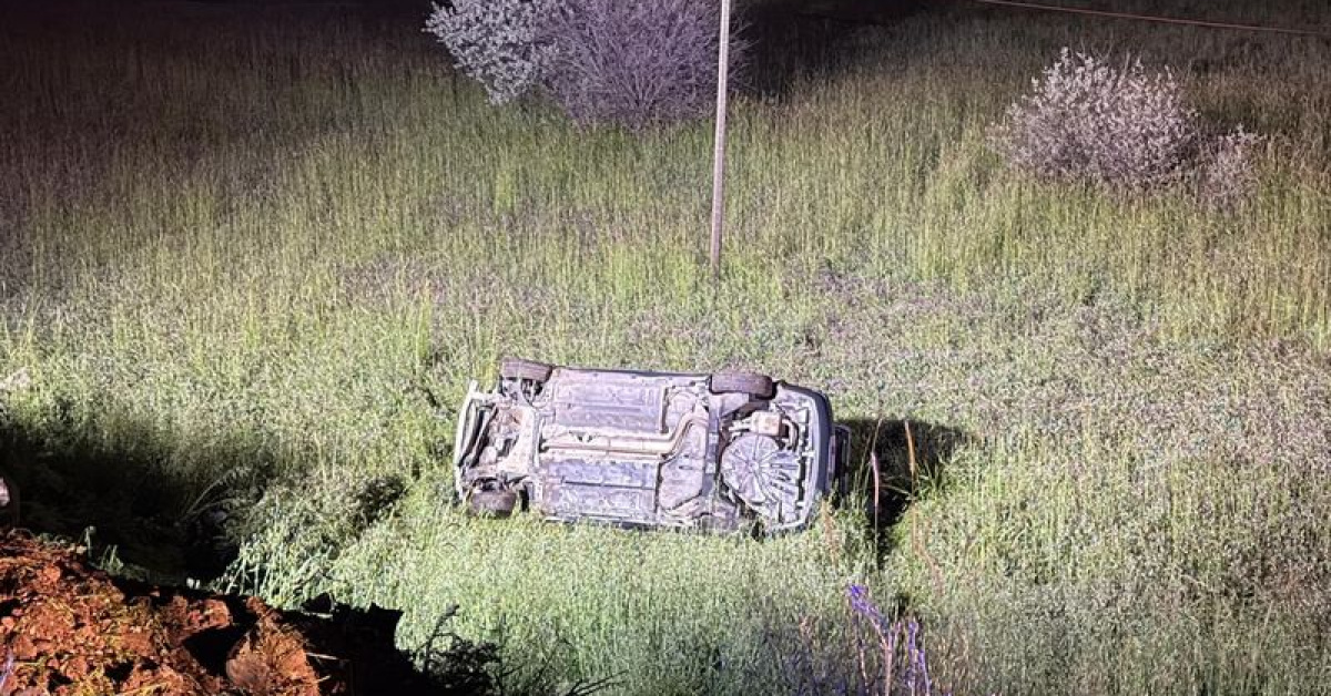Elazığ'da Otomobil Domuzla Çarpışıp 5 Yaralı