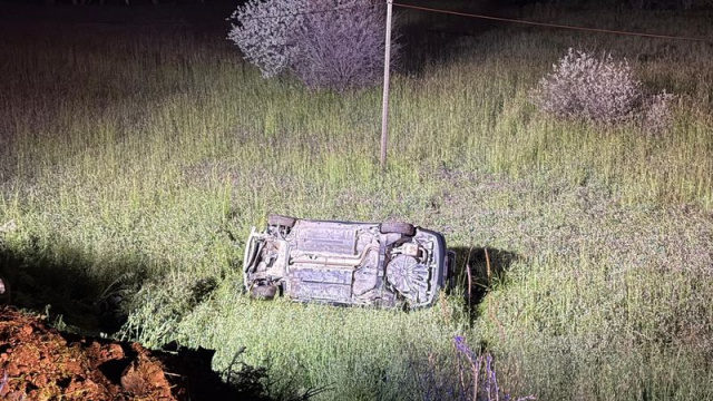 Domuza çarpan otomobil devrildi: 5 yaralı