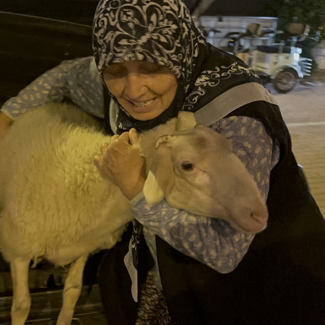Kuzular karıştı, 'Çorap' kurbanlık olmaktan son anda kurtuldu