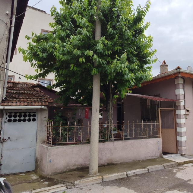 Kiraz uğruna feci ölüm!