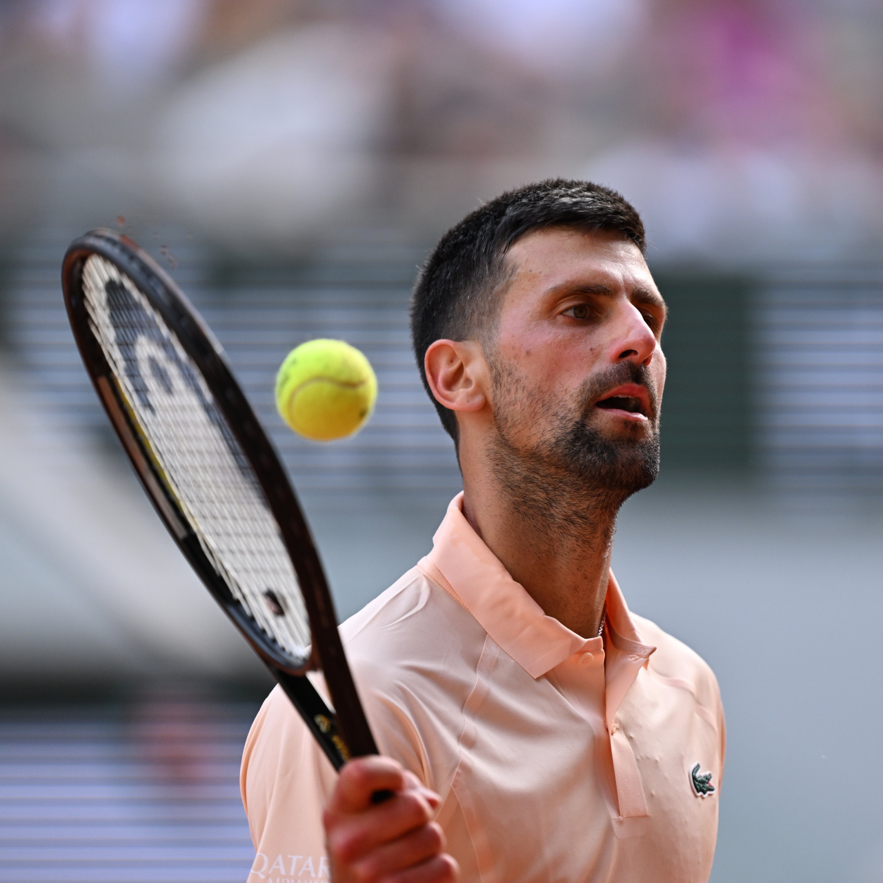 Djokovic, Fransa Açık'a 3. turda veda etti!