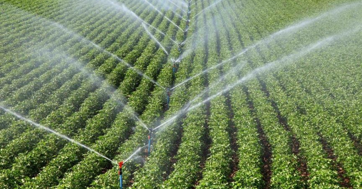 Tarımda geçen yıl 72 bin 149 hektar alan sulamaya açıldı