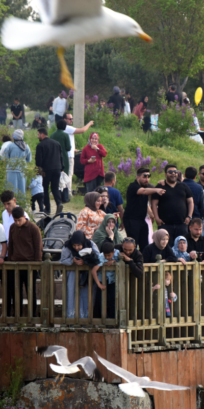 Dünyada sadece Van Gölü'nde! 40 bin kişi izledi