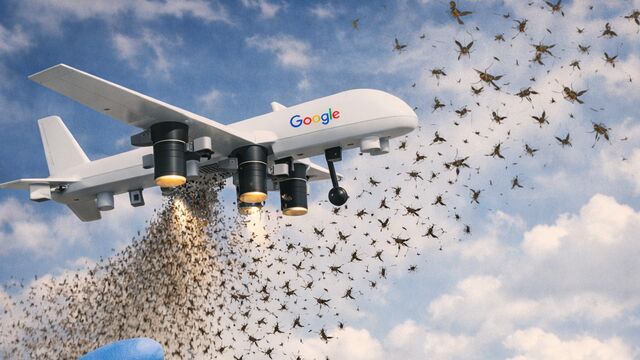 Google'dan sivrisinek ordusu!