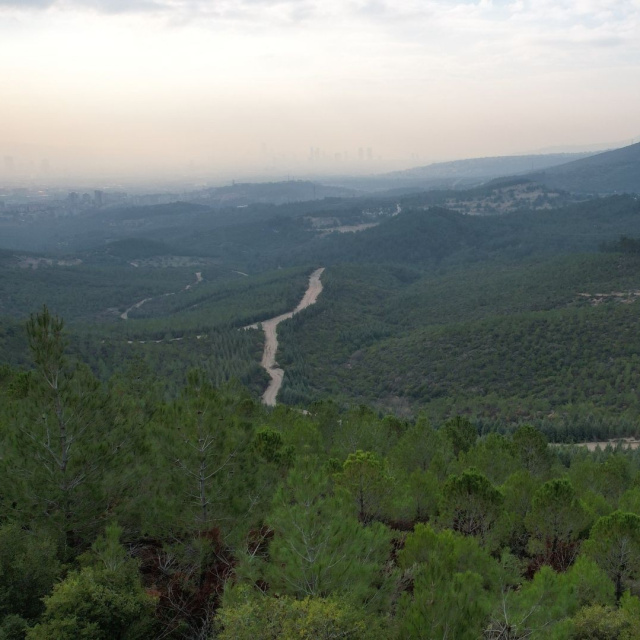 İzmir'de ormana giriş 5 ay yasak