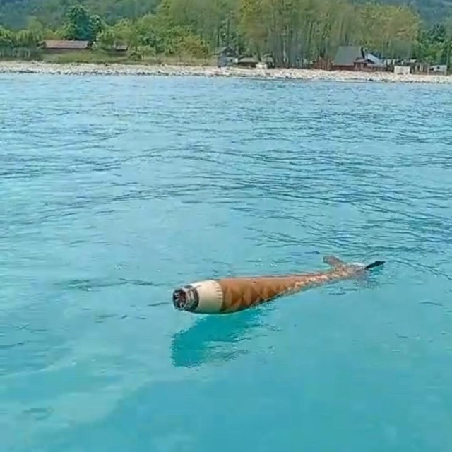 Ayancık açıklarında şüpheli cisim bulundu