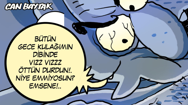 Can Baytak karikatürleri (Haziran 2026)