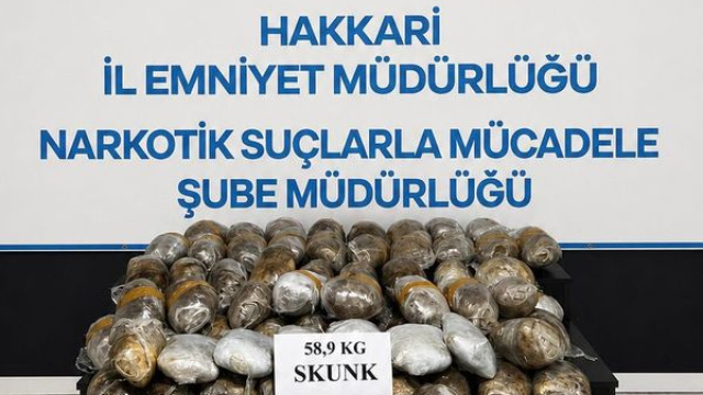 Hakkari'de 59 kilogram skunk ele geçirildi