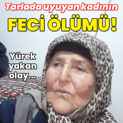 Tarlada uyuyan kadının feci ölümü!
