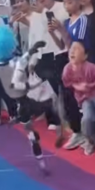 İnsansı robot çocuğu tekmeledi!
