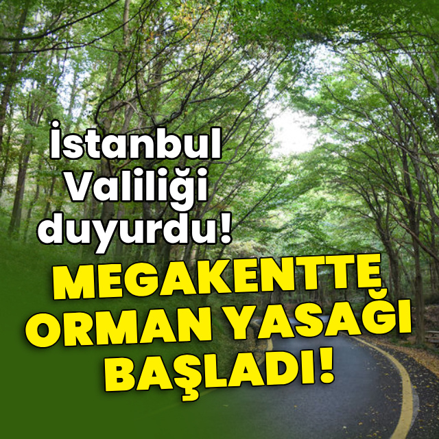 İstanbul Valiliği duyurdu! Megakentte orman yasağı başladı!