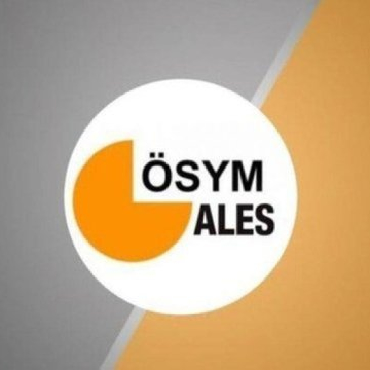 ALES/2 başvuruları haziran ayında alınacak