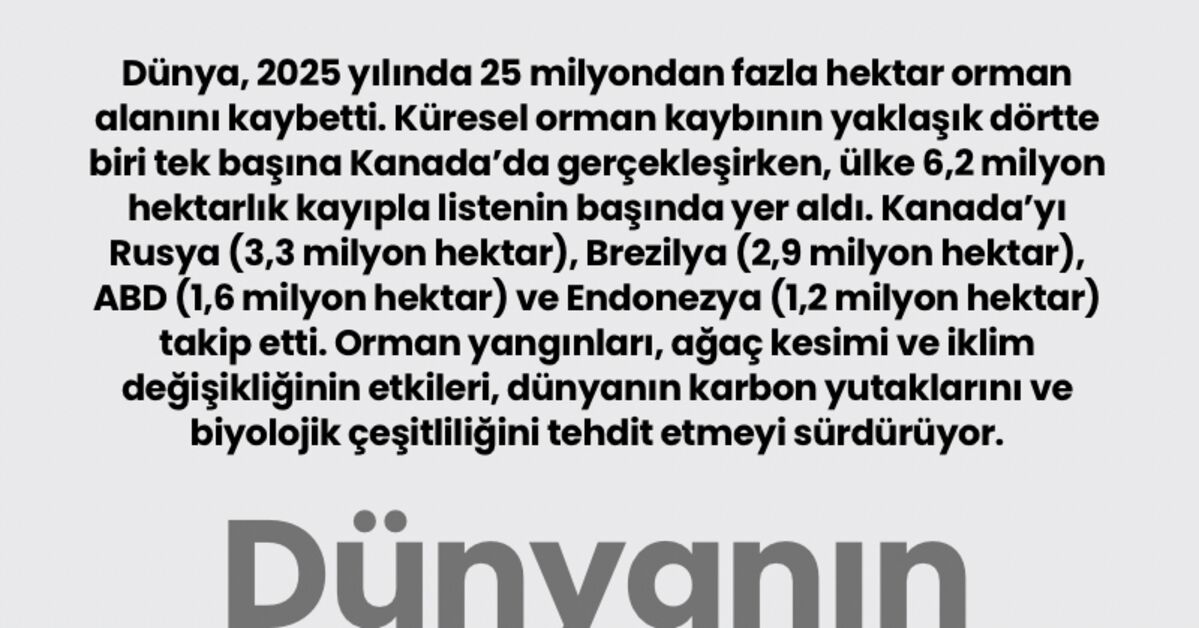 Dünyanın orman kaybı zirvede