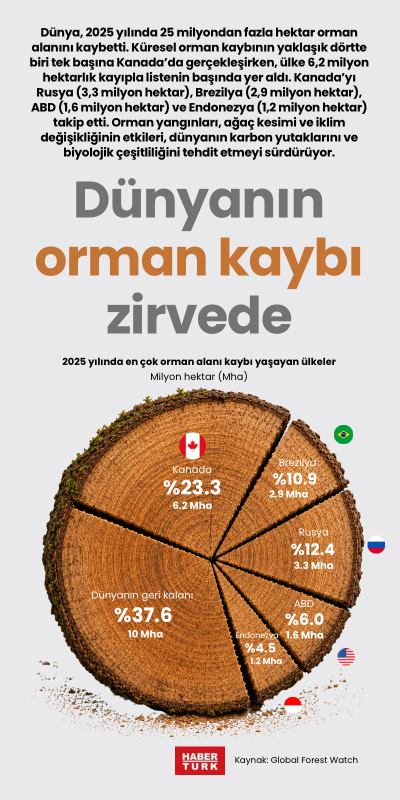 Dünyanın orman kaybı zirvede
