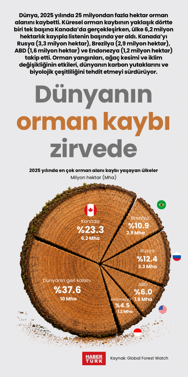 Dünyanın orman kaybı zirvede