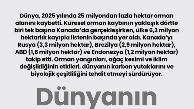 Dünyanın orman kaybı zirvede
