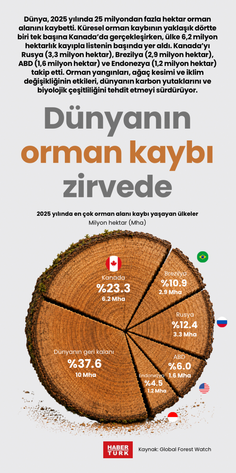Dünyanın orman kaybı zirvede