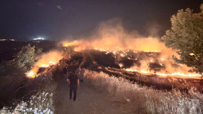 Hatay'da anız yangını zeytinliğe sıçradı