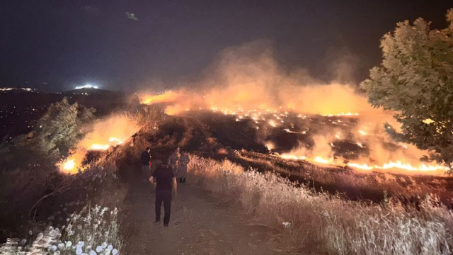 Hatay'da anız yangını zeytinliğe sıçradı