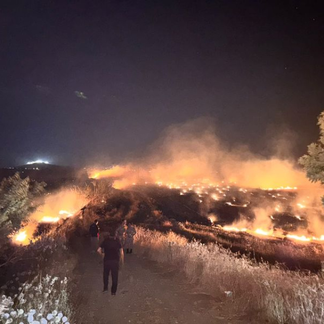 Hatay'da anız yangını zeytinliğe sıçradı