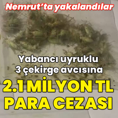 Yabancı uyruklu 3 çekirge avcısına 2.1 milyon TL ceza!