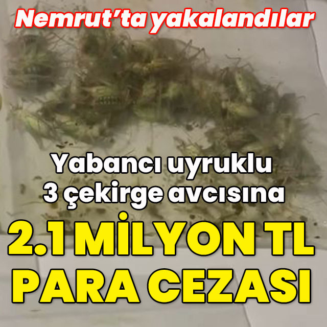 Yabancı uyruklu 3 çekirge avcısına 2.1 milyon TL ceza!