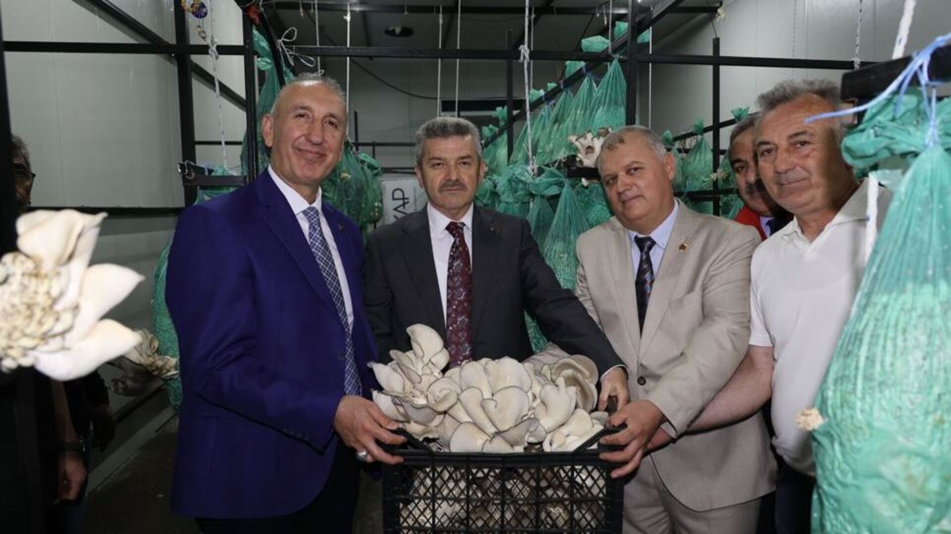 Artvin'de tünelde ilk mantar hasadı yapıldı: Yıllık 350 ton hedefi