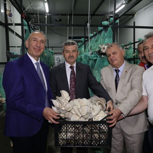 Tünelde ilk mantar hasadı