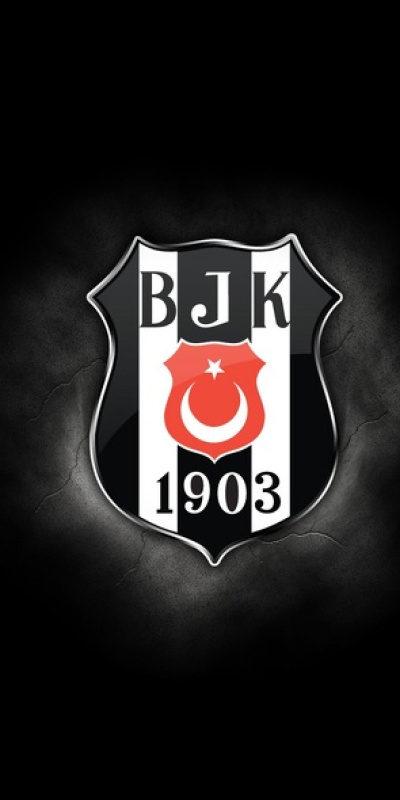 TBF'den Beşiktaş'a para cezası!