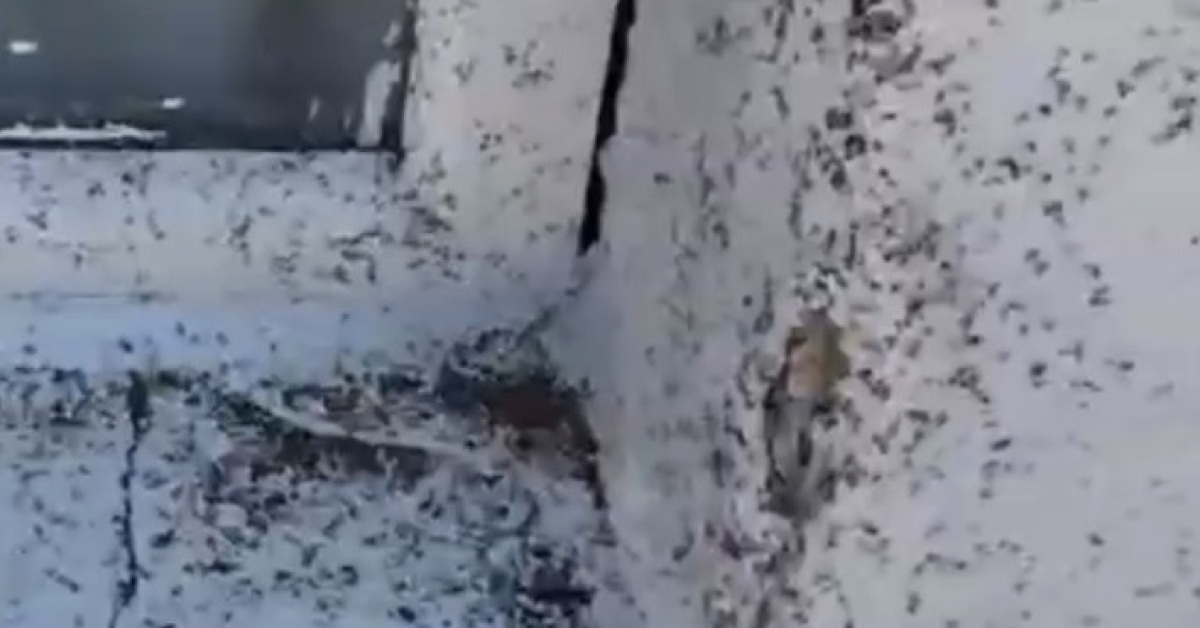 Gaziantep Oğuzeli'desinek istilası... Vatandaşlar ilaçlama çağrısı