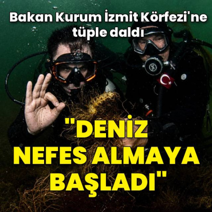 Bakan Kurum İzmit Körfezi'ne tüple daldı