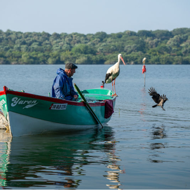 Yaren leyleğin eşi, 5 yıl sonra kayıkta