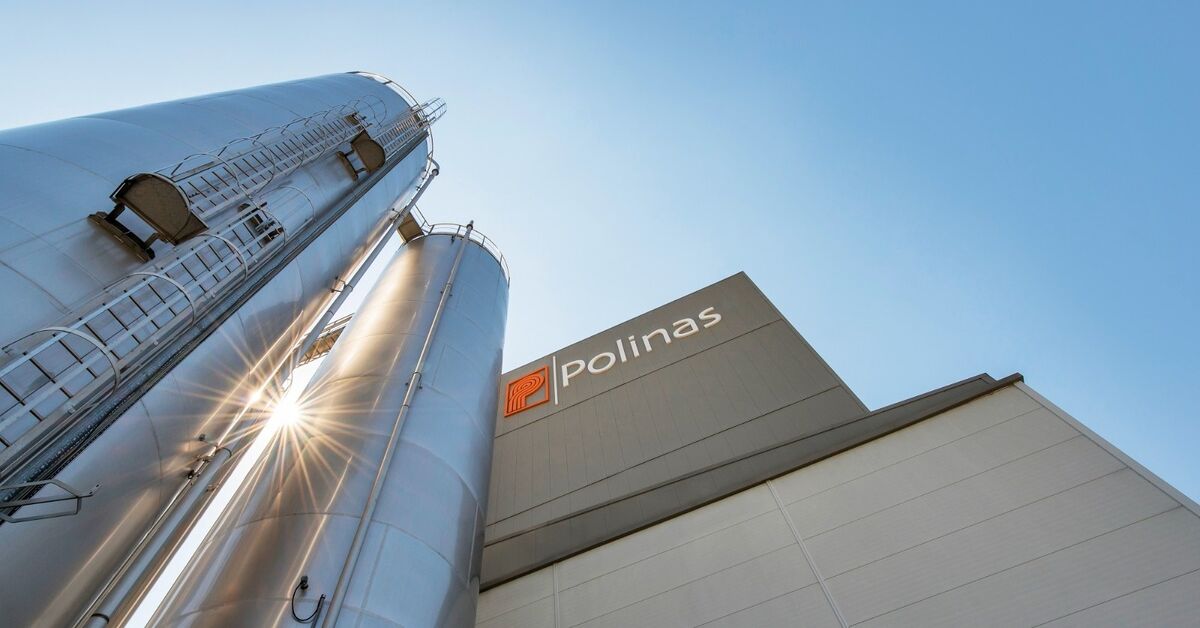 Polinas, SA 8000 Sosyal Uygunluk Belgesi aldı