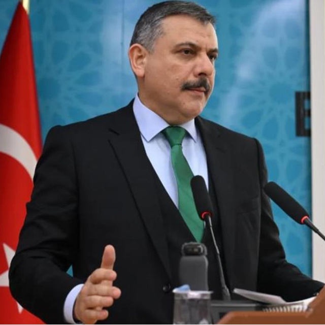 "Barınak kesin çözüm"