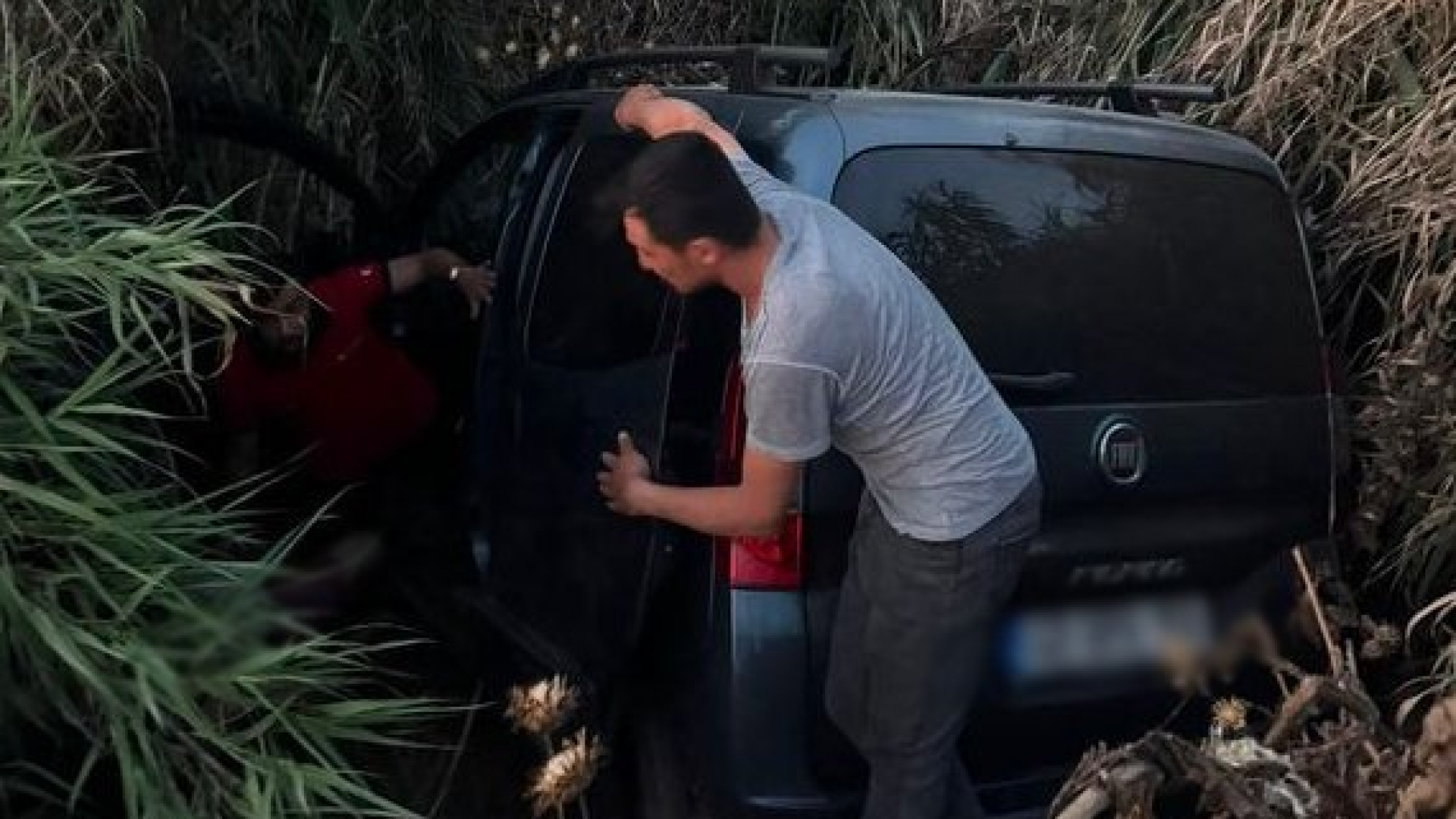 Aydın'da kayıp aranan adam trafik kazasında hayatını kaybetti