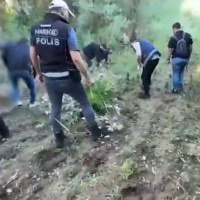 UNESCO Dünya Mirası Listesi'nde... Hevsel Bahçeleri'nde uyuşturucu!
