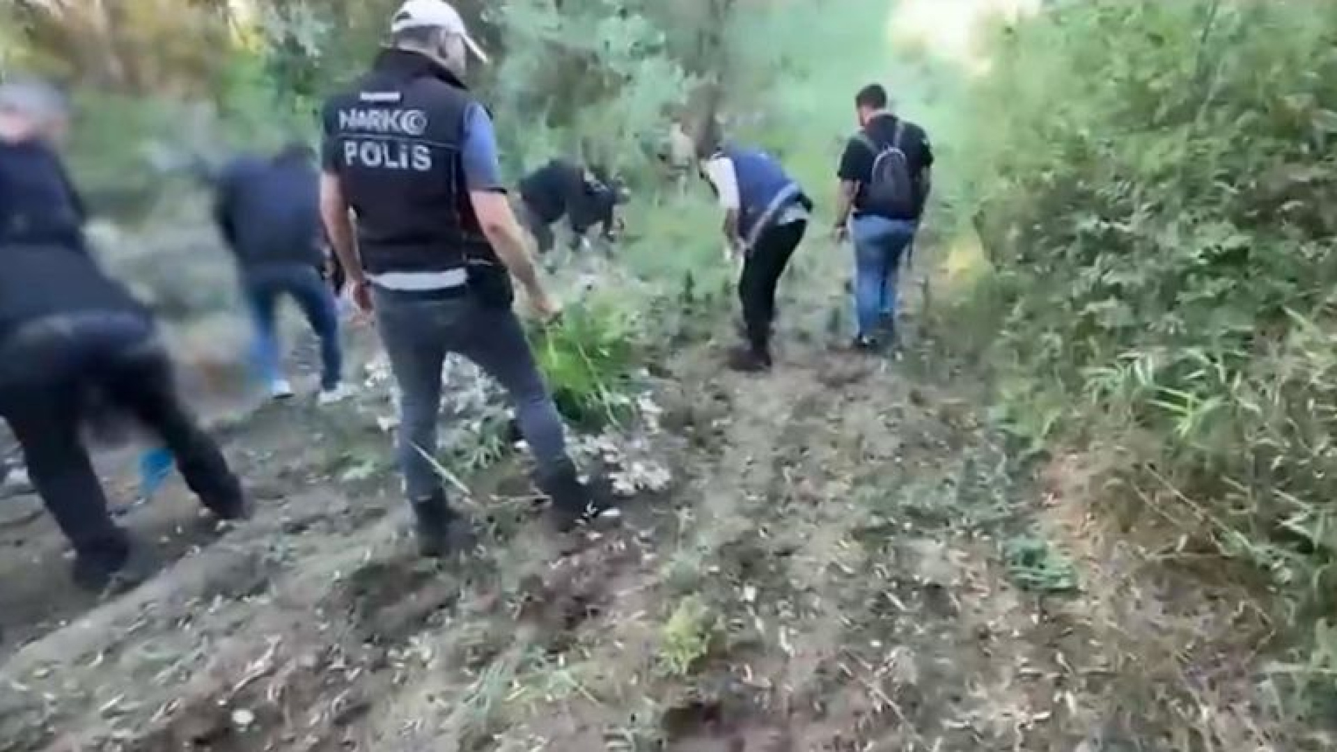 UNESCO Listesindeki Hevsel Bahçeleri'nde Uyuşturucu Operasyonu: 12 Bin Kök Kenevir Ele Geçirildi