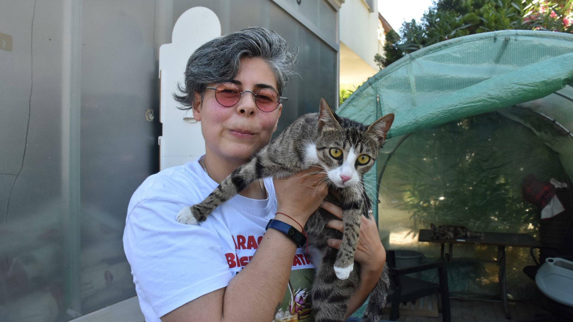 Erkek Sanılan Kedi Cengo Doğum Yapınca Çift Cinsiyetli Olduğu Anlaşıldı